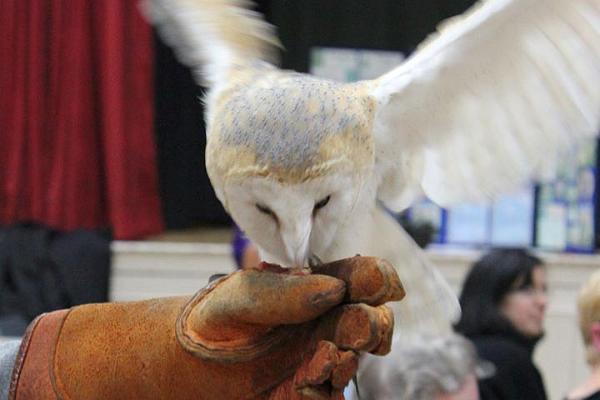 Nellie gobbling the chick!.jpg